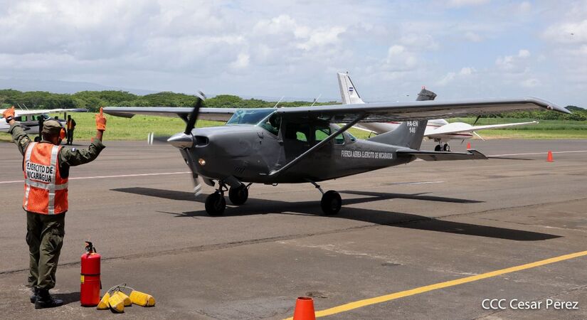 aerea